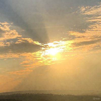 SunnySlices1's profile picture. Serving light-hearted content one ray of sunlight at a time.