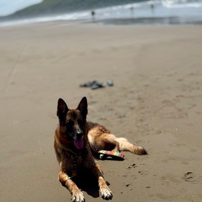 ajit_aj's profile picture. Plodding along.