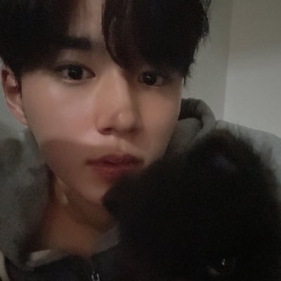MiboBxybj's profile picture. 준서오빠미간너무좋아요