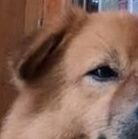 george_karedan's profile picture. Human being