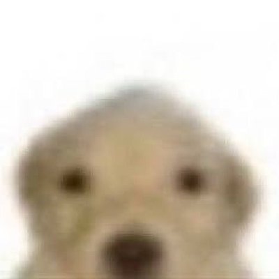 StupidMonkie69's profile picture. 