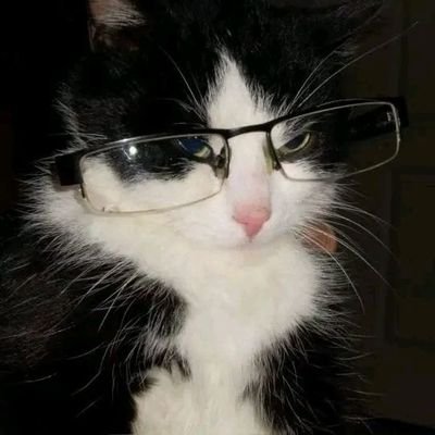 Mimii6062's profile picture. certified fujoshi