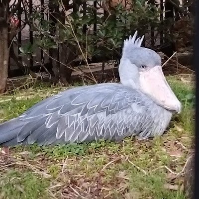 lS3VGAkjGl15062's profile picture. 