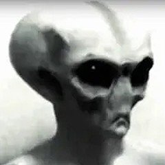 Marcelloswollos's profile picture. 