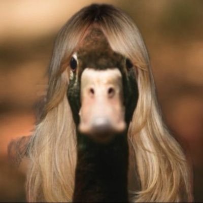 sc261721's profile picture. 