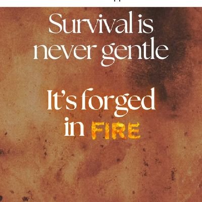 LabakeNini's profile picture. 