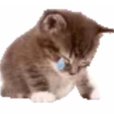 illluga's profile picture. 24. currently in sukuita pilled.