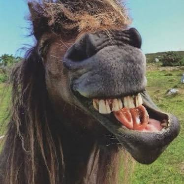 NDMAYS87's profile picture. learning everyday