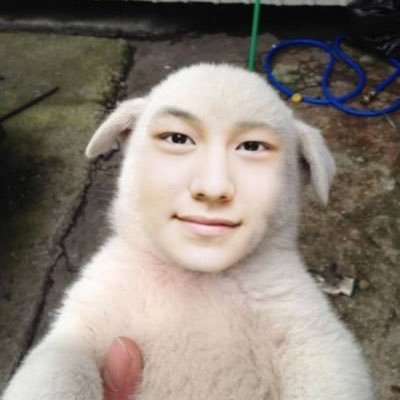 bpm_181's profile picture. 