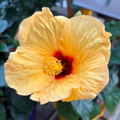 airu8's profile picture. 