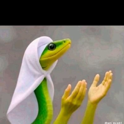 juliusjanet808's profile picture. Que Sera Que Sera