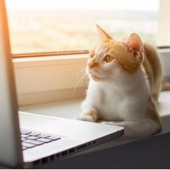 V900Vishal's profile picture. Software developer | Backend Developer| Java Coder | Golang | Tech |3rd year | CSE-27 | Music | Kohli😍