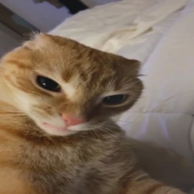 fl0wen0l's profile picture. 