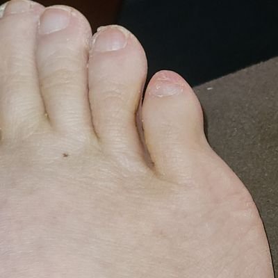 BlockedLikeLego's profile picture. Go away