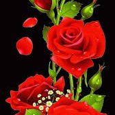 bii5215172's profile picture. बायो में कुछ नहीं रखा है भाई।