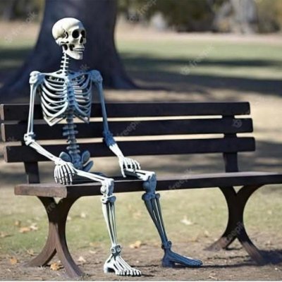 ArmocromistaBN's profile picture. 