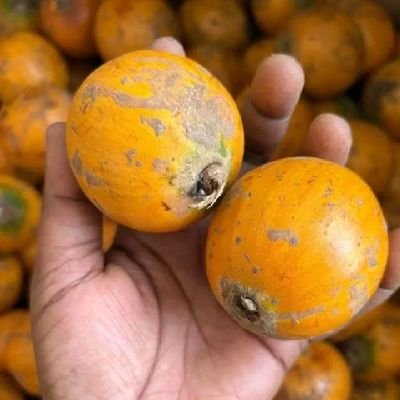 jj9851009's profile picture. 