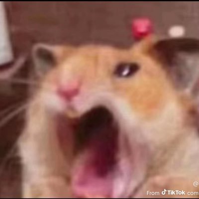 404draftss's profile picture. Dear diary, I wasn’t prepared