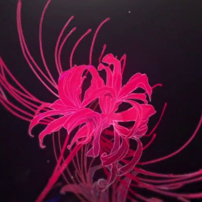 ethk9h's profile picture. 