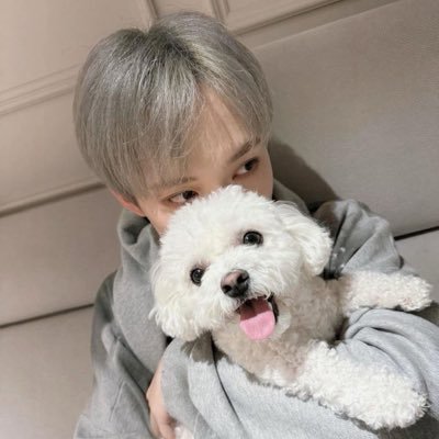 jujutewq's profile picture. ꒰ zhong chenle 🗯️ ꒱ : art-chinese ⠀⠀⠀⠀