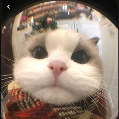 Lewys_Fulls's profile picture. 