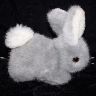 kya0oo1's profile picture. 