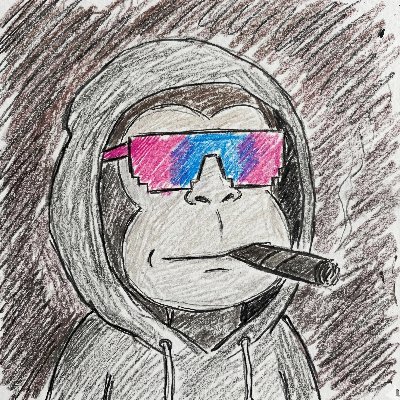 muse_jp_sol's profile picture. 20 🇯🇵 | Superteam Japan Member @SuperteamJapan | Founder @axis__Solana | Ambassador @sns | ex @wecandaoit | JP @Yusukekikuta_