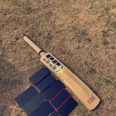 aly_iens's profile picture. 