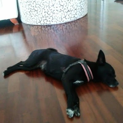 simon34trip's profile picture. 