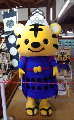 JBi63PwuKK88876's profile picture. 四万十町出身。
ひろし君の大大大フアンです。
ひろし君は高知の宝🌠
でも今は日本の宝🌠
ひろし君の楽しいコンサートが生き甲斐❤️💓🍀です。元気と生きる活力を沢山頂いてます。