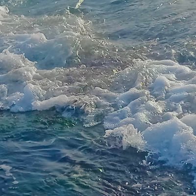 MVEMJSUN_134340's profile picture. ♇