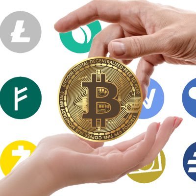 moneycrypto08's profile picture. 