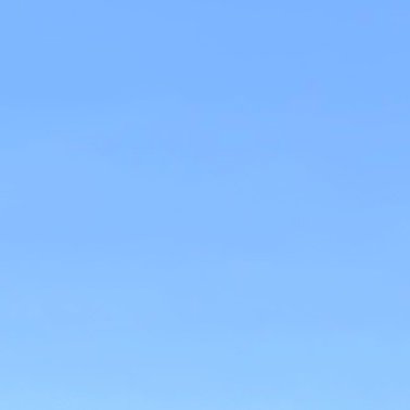 ZUOJUNLIANG's profile picture. 