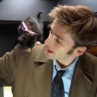 whimsystargirl's profile picture. 