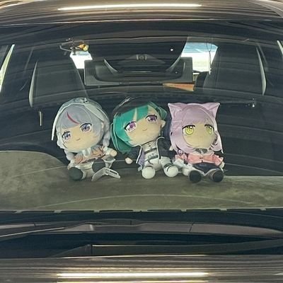 acchi5555's profile picture. 静岡市在住の介護士やってるオタクです！
ぶいすぽっ！みみたや推し。無言フォロー失礼しますm(_ _)m