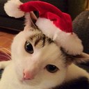 Barry Leighton - @Chuchu81comp - Twitter