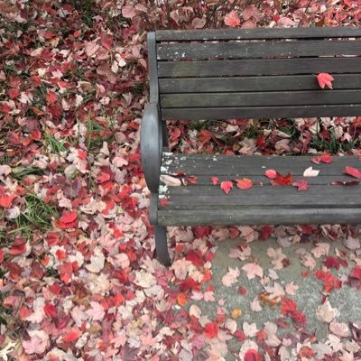 notbuaydubz's profile picture. 