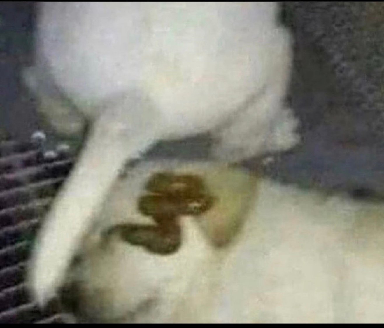 Dommie1_7's profile picture. 