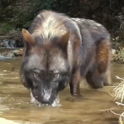 _bitbitcrypt_o's profile picture. Average traders get average results - average traders lose money.