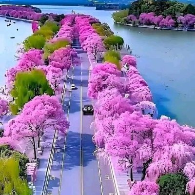 MahburJ's profile picture. I am a student all over the world