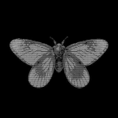 hazeflow_xyz's profile picture. A crypto & blockchain research firm.