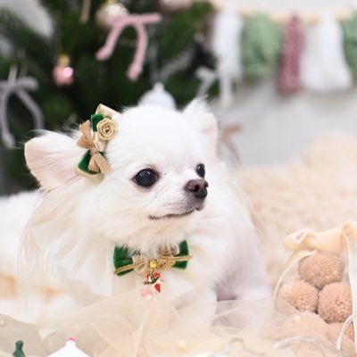 Hhex76P9zCUPH09's profile picture. 