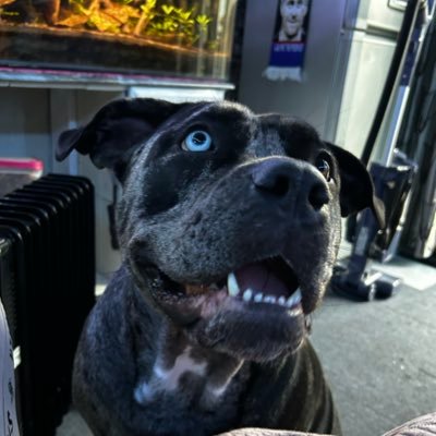 hami2w's profile picture. 