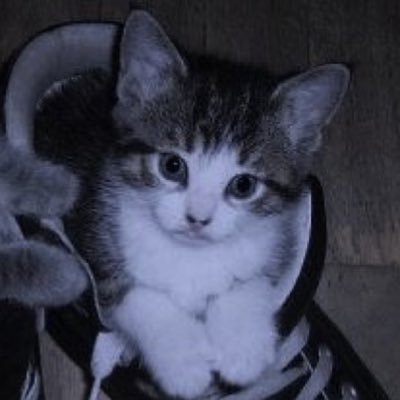 fuzi007's profile picture. 雑食 絵が好きです 見る専です…