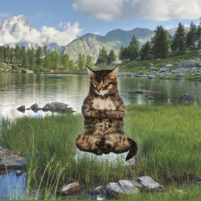 maximpo3dnyakov's profile picture. Builder mind, degen heart, chasing edges before the crowd