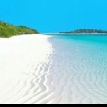 الساحل Profile