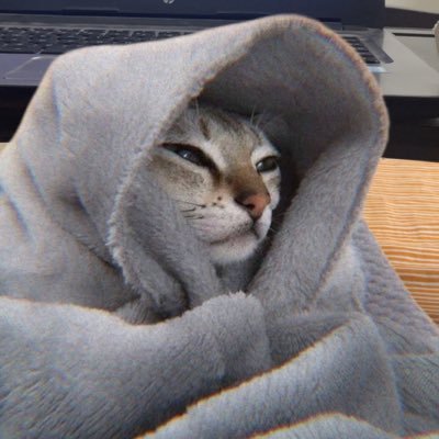 impatinetaqsa's profile picture. 🩺 2025 || 🧚🏻‍♂️