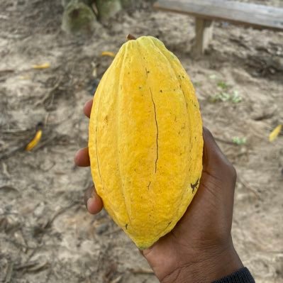 RoRogarcon's profile picture. dev NO-CODE🌍// GAMER //SOTRACO 😜 https://t.co/jFHG6cU7ut / https://t.co/8BFqfw2ySK