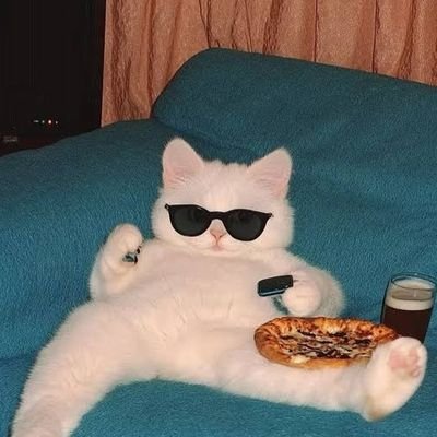 kitkat7173's profile picture. 트위터초보 / 나를 찾아가는 일기