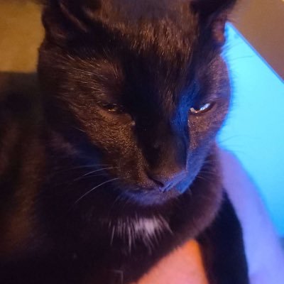 AceSergeant7880's profile picture. good job for finding this account you dongs